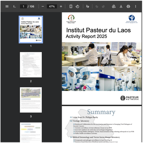 Activities Report 2025